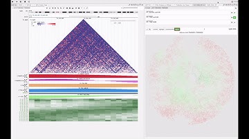 Nucleome Browser 2019