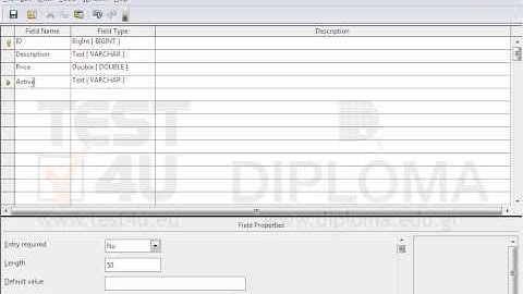 Insert one more field in the Products table using the name Active and the appropriate type so...