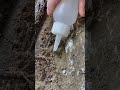 Edmontosaurus arm bone preparation #edmontosaurus #paleontology #hell