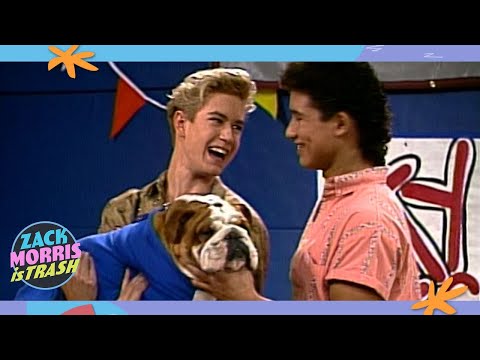 the-time-zack-morris-stole-a-dog-then-slaughtered-countless-ants