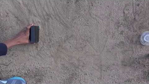 Obstacle avoidance in an ant