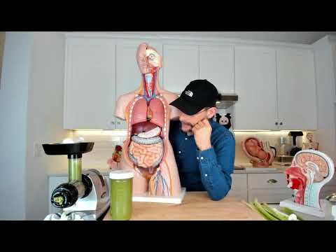 Vídeo: Paràsits Intestinals En Rates