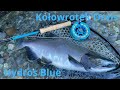 Kołowrotek Orvis Hydros Blue