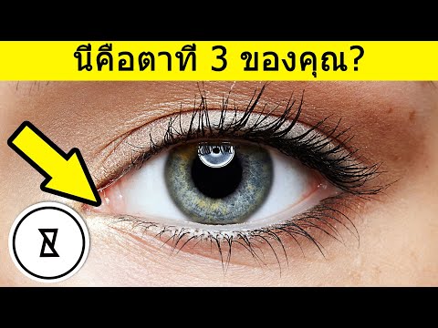 10 อันดับส่วนของร่างกายที่ไร้ประโยชน์ | ข้อเท็จจริงเกี่ยวกับร่างกายมนุษย์ | มากรู้มากเห็น