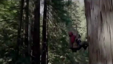 Alan Watts - What if Money Were No Object?  NorthStarNetworker.com