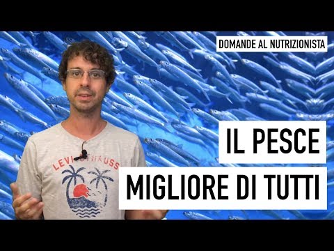 Video: Attrezzare il pesce e i suoi tipi