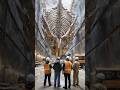 Highway Construction Unearths Giant Metallic Ribcage Embedded in Bedrock