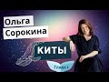 Киты. Ольга Сорокина