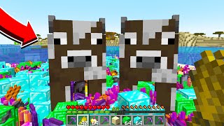 Minecraft Dar Inmultitul De Animale Este OP...