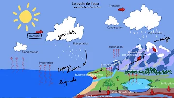 Comment enseigner le cycle de l'eau ?