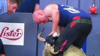 Sheep Shearing Scottish National Final 2023