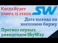 Когда будут первые дивиденды SkyWay | Адресные проекты SkyWay | Дата выхода SkyWay на IPO