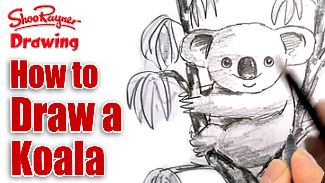 How to draw a koala  Drawings Drawing tutorial Envelope art