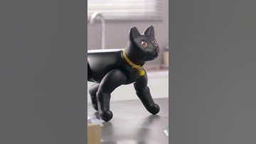 Mars Cat Robot #robotics #robot #artificialintelligenc