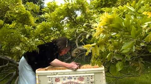 persuading a swarm into a topparhive