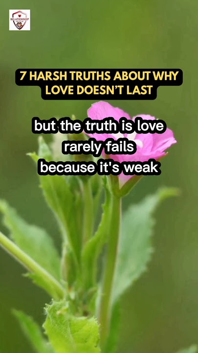 7 Harsh Truths About Why Love Doesn’t Last