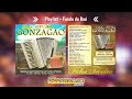 CD – Coletânea – Salve 100 anos Gonzagão