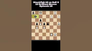 INSANE 100,000 ELO CHESS BOT Episode 16 Final Episode