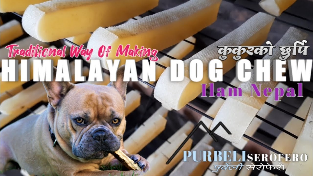 Himalayan Dog Chew|Dog Food|Eastern Nepal