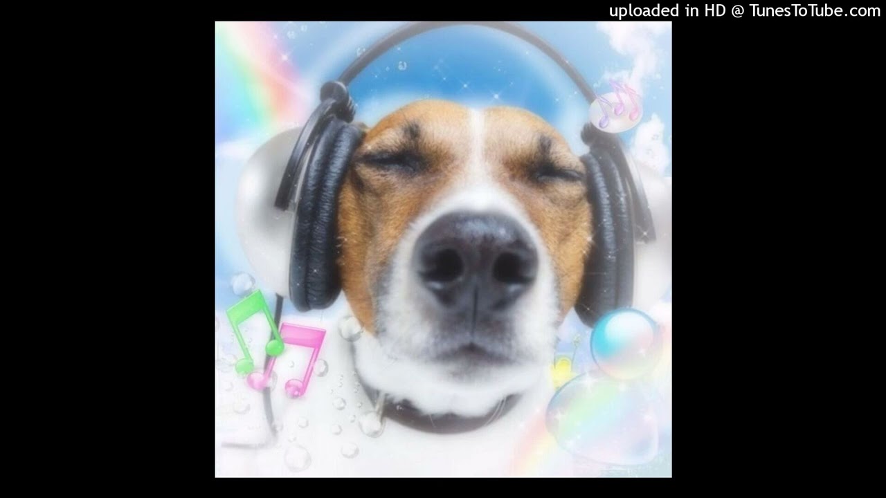 (free) puresnow type beat - kila