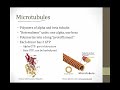 Cytoskeleton || Cell Biology || Boards and Beyond
