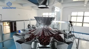 Samson Multi-head weigher 1kg 2kg 5kg red dates granule ect .VFFS vertical packing machine