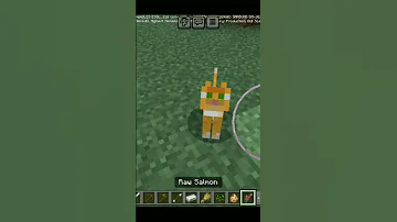 فخ قطط My Kingo دوبلاج اكسبلور دبلجة مضحكة السعودية السعودية Minecraft ورك الوكره 
