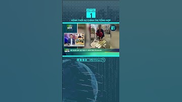 Người giúp việc trộm 47 cây vàng của chủ | VTC1