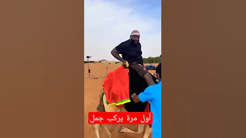 أول مرة يركب جمل Shorts 