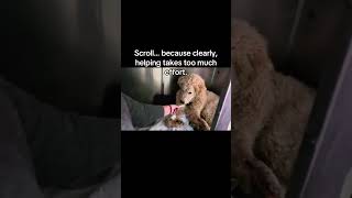 Celebrity Update: We don’t know how his story will end… if he’ll ever trust us, or remain trapped in fear. Profile