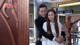 炮仔聲 第14集 The sound of happiness EP14【全】 炮仔聲 第14集 The sound of happiness EP14【全】