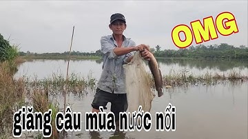 Thăm Câu Giăng Buổi Sáng , Cặp Cá Trê Khổng Lồ Kéo Muốn Đứt Diền Câu # SĂN BẮT ĐỒNG THÁP #