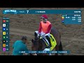 Planetario wins the Hollywood Turf Cup Gr. III race 7 at Del Mar 11/24/23.