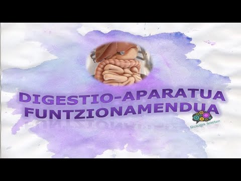 Digestio-aparatua FUNTZIOAK