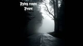 Dying Raven - Dawn