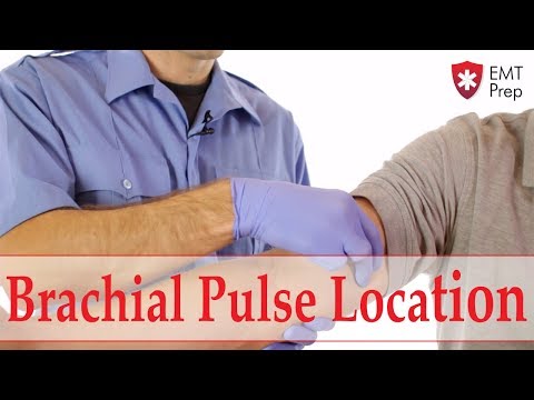 Video: 3 způsoby, jak najít svůj brachiální puls