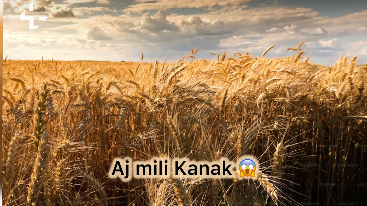 Mnu ta pnga hi pgya aj 😱🧐