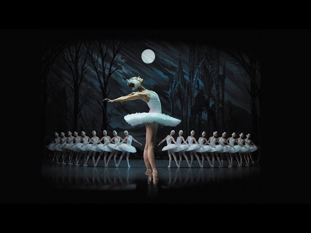Irina Kolesnikova | Swan Lake | St Petersburg Ballet Theatre (SPBT)