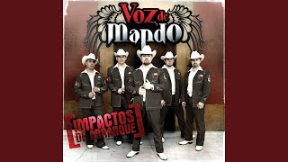 Video thumbnail of "Voz De Mando - Vida Recia"