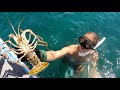 What happens when I go SNORKELING  and see underwater bugs! *Vlog*