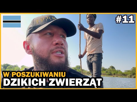 Wideo: Najlepszy czas na wizytę w Botswanie