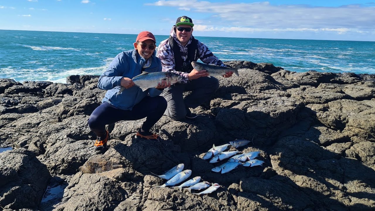 Australian Salmon & Tailor Off The Rocks. South Coast