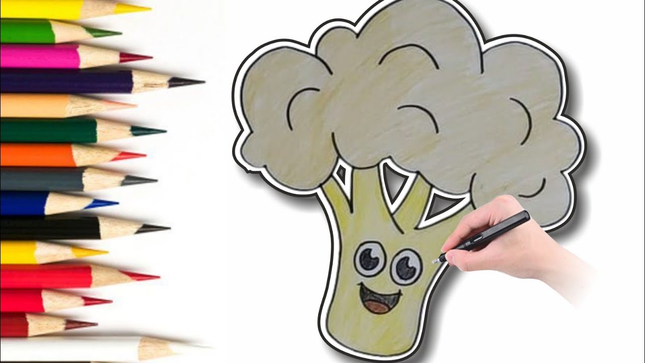 Easy Draw Broccoli How to Colour Cute Broccoli Easy - Part 2 | Easy Drawing for Beginners ...