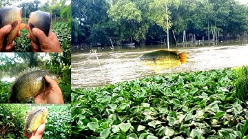 Câu cá rô đồng, nơi nào đó ở miền tây ,Ở đâu còn lâu tôi mới chỉ ..