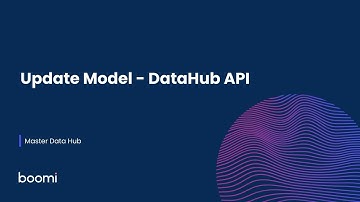 Master Data Hub - Update Model - DataHub API