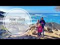 Point Lobos Trails and Recent Storm Damage in the Park -- Result of Storms on the coast!