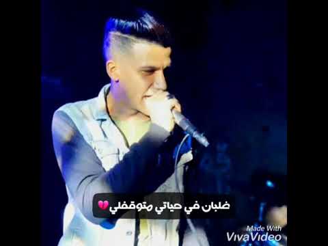 في الشده كله كارفني مهرجان بارد مستفز