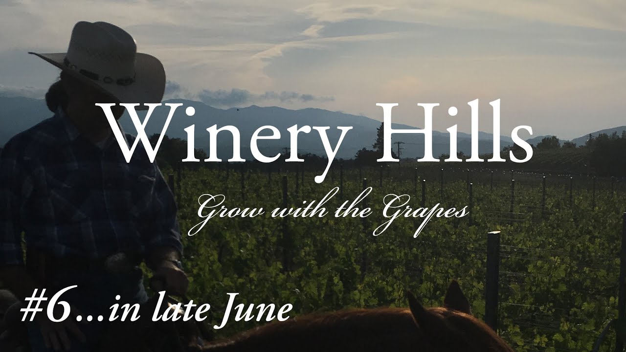 【Introduction of WINERY HILLS】ワイナリーぶどう畑 #6『特別編集版』