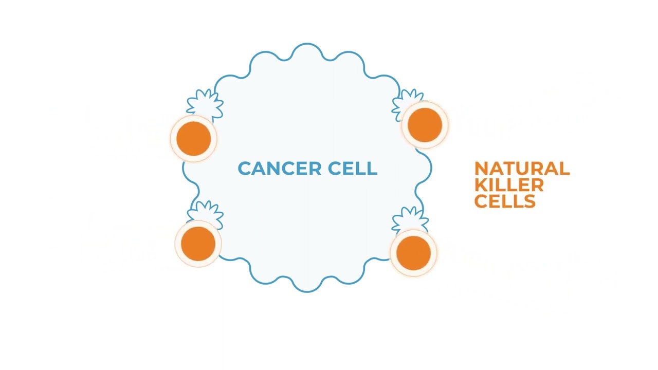 How Immunotherapy Fights Cancer