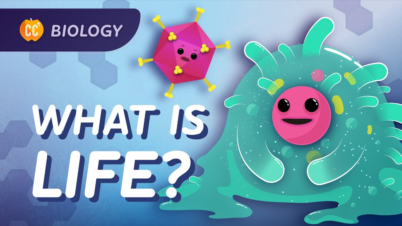 ⁣Introduction to Biology: Crash Course Biology #1